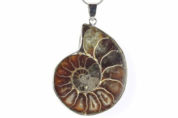 Fossil Ammonite Pendant - Million Years Old #290171